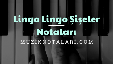 Lingo Lingo Şişeler Notaları