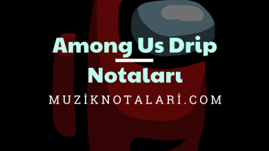 Among Us Drip Notaları