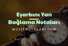 Esarbini-Yan-Baglama-Notalari