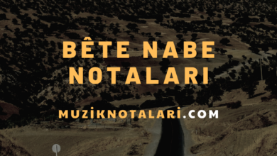 Bête Nabe Notaları