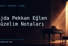 Ajda Pekkan Eğlen Güzelim notaları için Do Re Mi kapak görseli