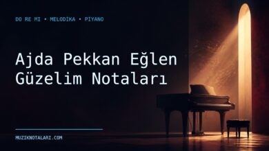 Ajda Pekkan Eğlen Güzelim notaları için Do Re Mi kapak görseli