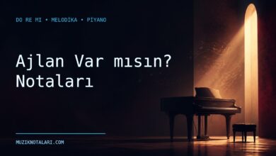 Ajlan Var mısın notaları Do Re Mi çalışma kapağı