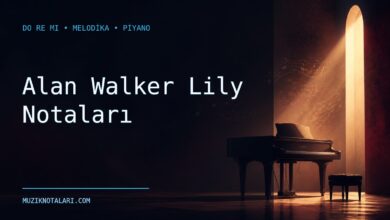 Alan Walker Lily notaları Do Re Mi çalışma kapağı