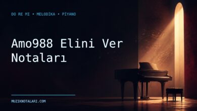 Amo988 Elini Ver notaları için Do Re Mi kapak görseli