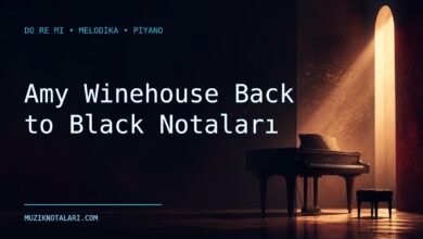 Amy Winehouse Back to Black notaları için Do Re Mi kapak görseli