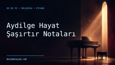 Aydilge Hayat Şaşırtır Notaları – Do Re Mi ve Melodika