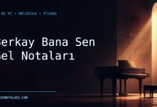 Berkay Bana Sen Gel notaları Do Re Mi çalışma kapağı