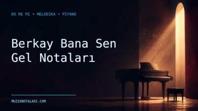 Berkay Bana Sen Gel notaları Do Re Mi çalışma kapağı
