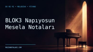 BLOK3 Napıyosun Mesela Notaları – Do Re Mi ve Melodika