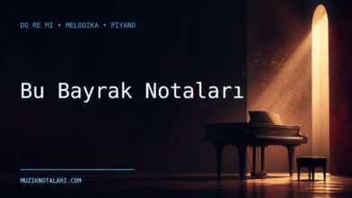 Bu Bayrak notaları Do Re Mi çalışma kapağı