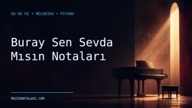 Buray Sen Sevda Mısın notaları için Do Re Mi kapak görseli