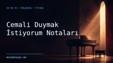 Cemali Duymak İstiyorum notaları Do Re Mi çalışma kapağı