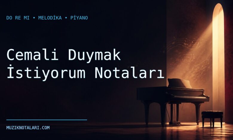 Cemali Duymak İstiyorum notaları Do Re Mi çalışma kapağı