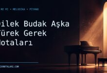 Dilek Budak Aşka Yürek Gerek notaları Do Re Mi çalışma kapağı