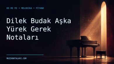 Dilek Budak Aşka Yürek Gerek notaları Do Re Mi çalışma kapağı