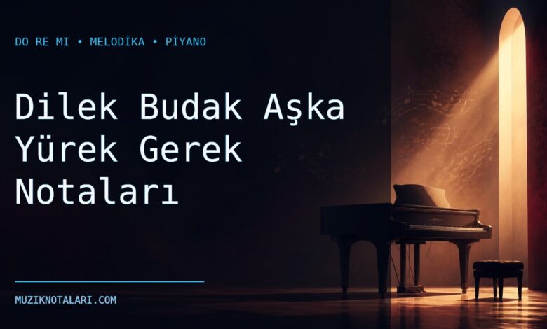 Dilek Budak Aşka Yürek Gerek notaları Do Re Mi çalışma kapağı