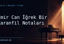 Emir Can İğrek Bir Karanfil notaları için Do Re Mi kapak görseli