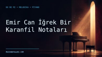 Emir Can İğrek Bir Karanfil notaları için Do Re Mi kapak görseli