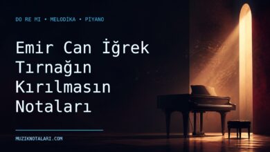 Emir Can İğrek Tırnağın Kırılmasın notaları Do Re Mi çalışma kapağı