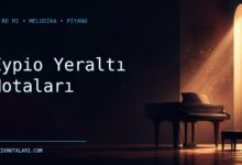 Eypio Yeraltı notaları Do Re Mi çalışma kapağı