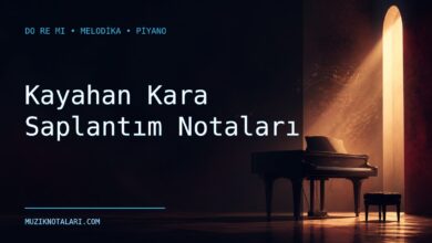Kayahan Kara Saplantım Notaları – Do Re Mi ve Melodika