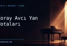 Koray Avcı Yan notaları için Do Re Mi kapak görseli