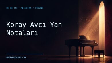 Koray Avcı Yan notaları için Do Re Mi kapak görseli