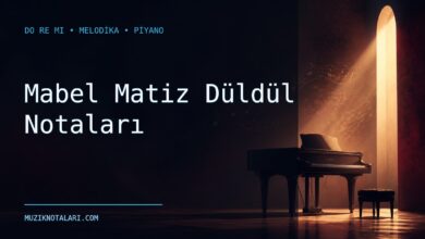 Mabel Matiz Düldül notaları için Do Re Mi kapak görseli