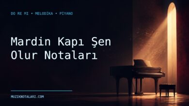 Mardin Kapı Şen Olur notaları Do Re Mi çalışma kapağı