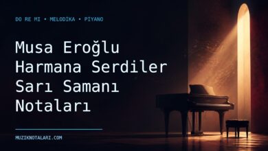 Musa Eroğlu Harmana Serdiler Sarı Samanı Notaları – Do Re Mi ve Melodika