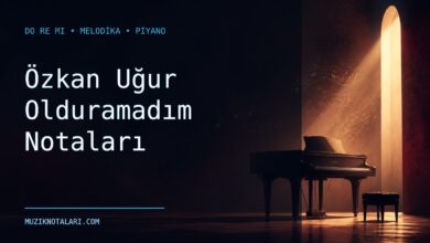 Özkan Uğur Olduramadım Notaları – Do Re Mi ve Melodika