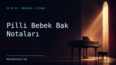 Pilli Bebek Bak Notaları – Do Re Mi ve Melodika
