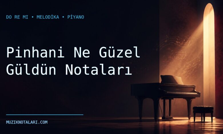 Pinhani Ne Güzel Güldün Notaları – Do Re Mi ve Melodika
