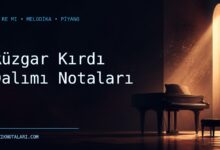 Rüzgar Kırdı Dalımı notaları Do Re Mi çalışma kapağı