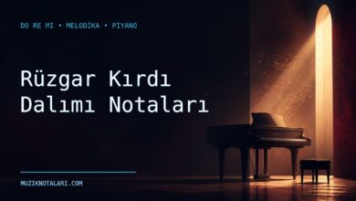 Rüzgar Kırdı Dalımı notaları Do Re Mi çalışma kapağı