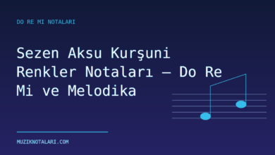 Sezen Aksu Kurşuni Renkler Notaları – Do Re Mi ve Melodika