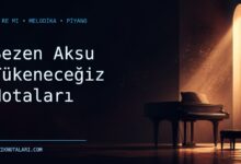 Sezen Aksu Tükeneceğiz notaları için Do Re Mi kapak görseli