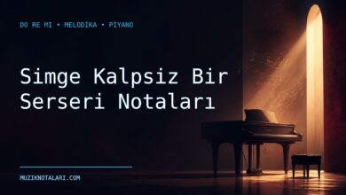 Simge Kalpsiz Bir Serseri Notaları – Do Re Mi ve Melodika