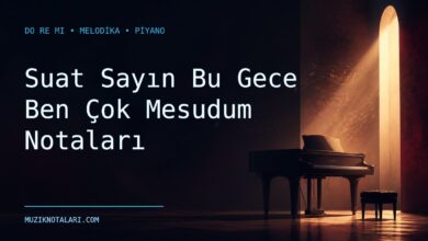 Suat Sayın Bu Gece Ben Çok Mesudum notaları için Do Re Mi kapak görseli