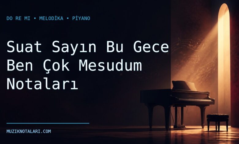 Suat Sayın Bu Gece Ben Çok Mesudum notaları için Do Re Mi kapak görseli