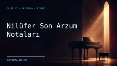 Nilüfer Son Arzum notaları Do Re Mi çalışma kapağı