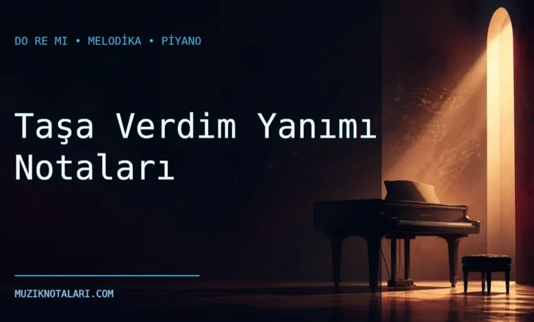 Taşa Verdim Yanımı notaları Do Re Mi çalışma kapağı